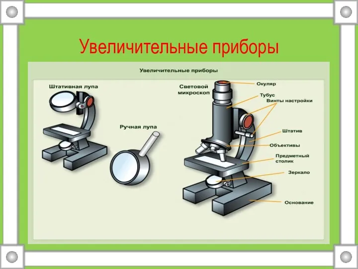 Увеличительные приборы