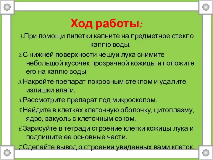 Ход работы: 1.При помощи пипетки капните на предметное стекло каплю