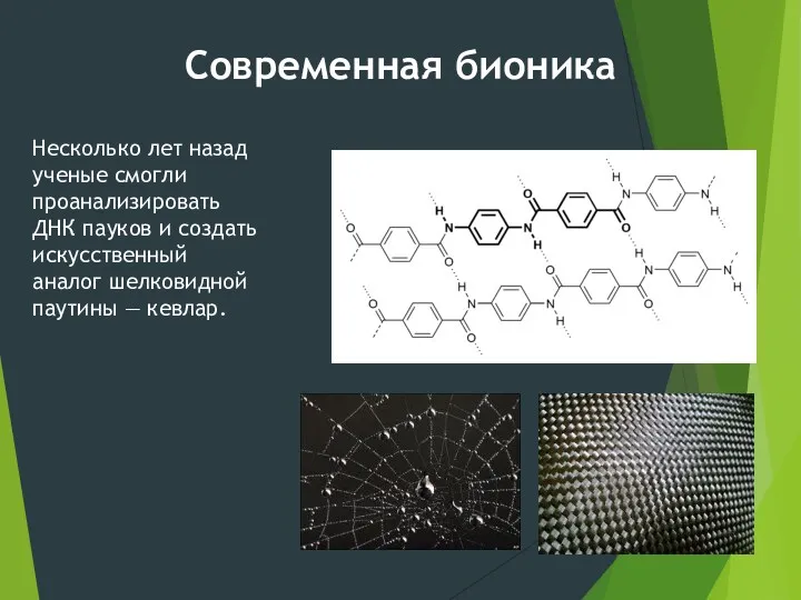 Несколько лет назад ученые смогли проанализировать ДНК пауков и создать