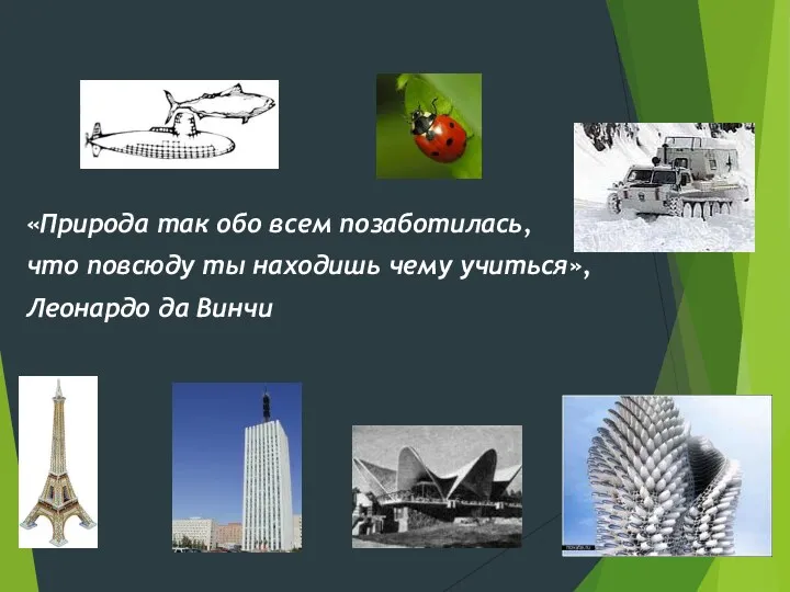 «Природа так обо всем позаботилась, что повсюду ты находишь чему учиться», Леонардо да Винчи