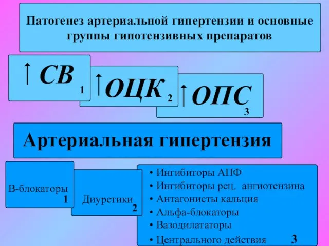 Патогенез артериальной гипертензии и основные группы гипотензивных препаратов СВ ОЦК