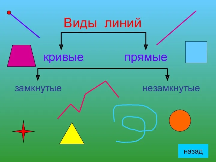 Виды линий кривые прямые замкнутые незамкнутые назад