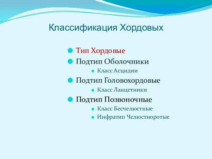 Классификация Хордовых Тип Хордовые Подтип Оболочники Класс Асцидии Подтип Головохордовые