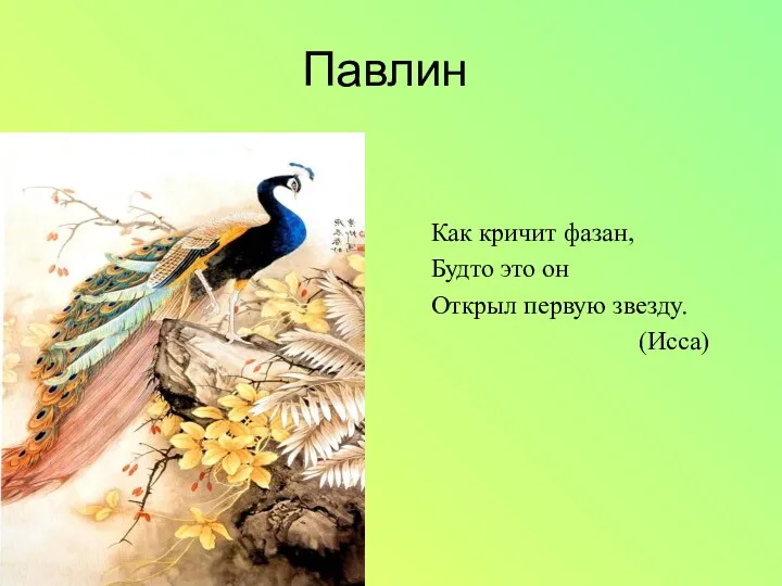 Павлин Как кричит фазан, Будто это он Открыл первую звезду. (Исса)