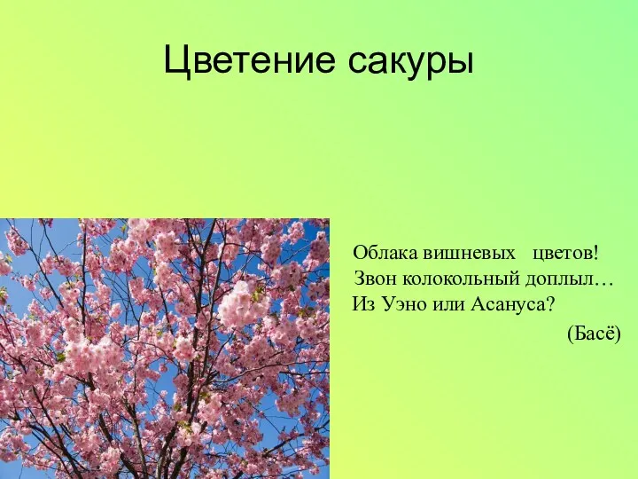 Цветение сакуры Облака вишневых цветов! Звон колокольный доплыл… Из Уэно или Асануса? (Басё)