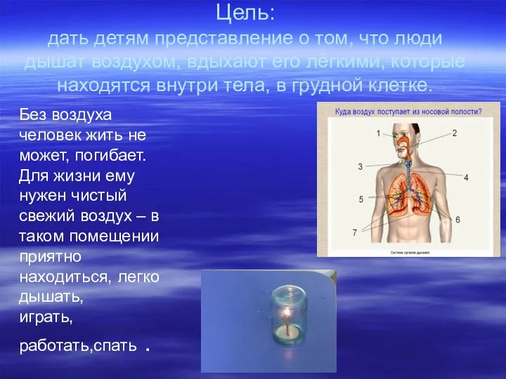 Цель: дать детям представление о том, что люди дышат воздухом, вдыхают его лёгкими,