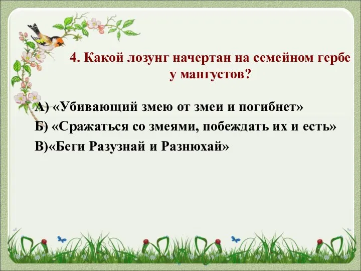 4. Какой лозунг начертан на семейном гербе у мангустов? А) «Убивающий змею от