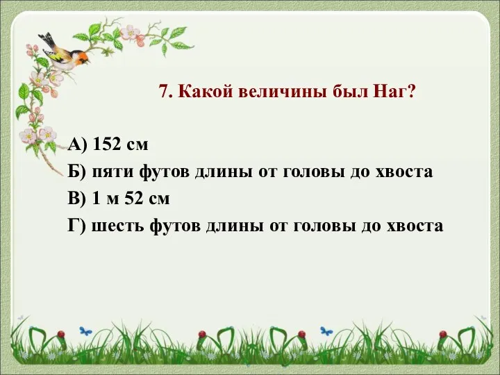 7. Какой величины был Наг? А) 152 см Б) пяти