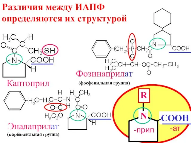 Каптоприл Фозинаприлат (фосфонильная группа) Эналаприлат (карбоксильная группа) Различия между ИАПФ