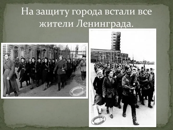 На защиту города встали все жители Ленинграда.