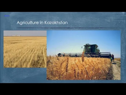 Agriculture in Kazakhstan