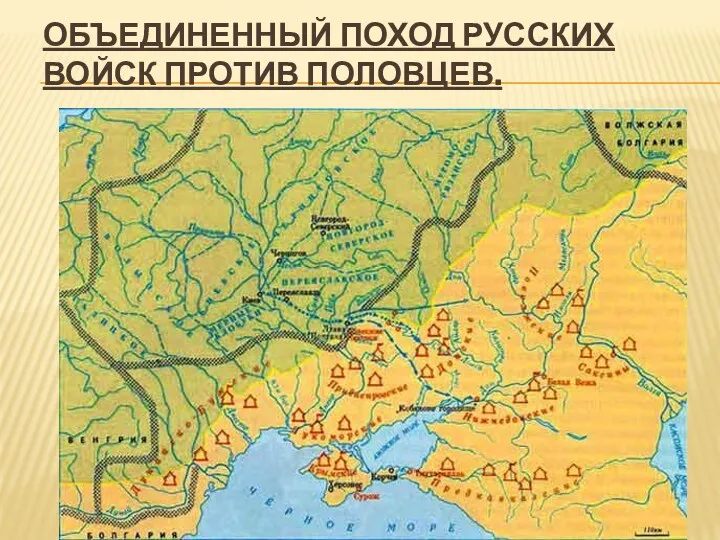Объединенный поход русских войск против половцев.
