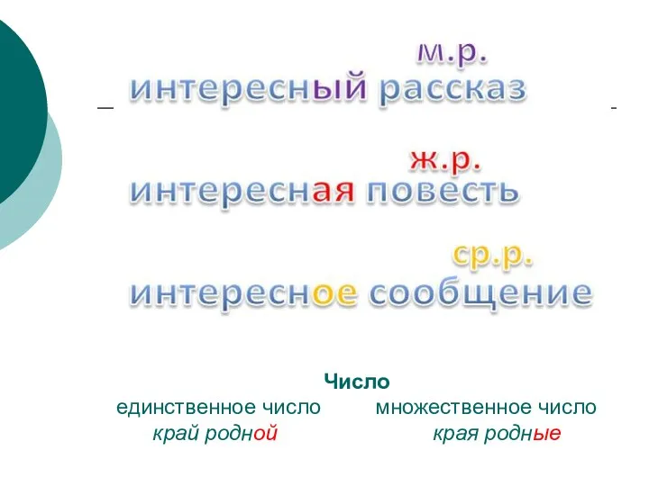 Число единственное число множественное число край родной края родные