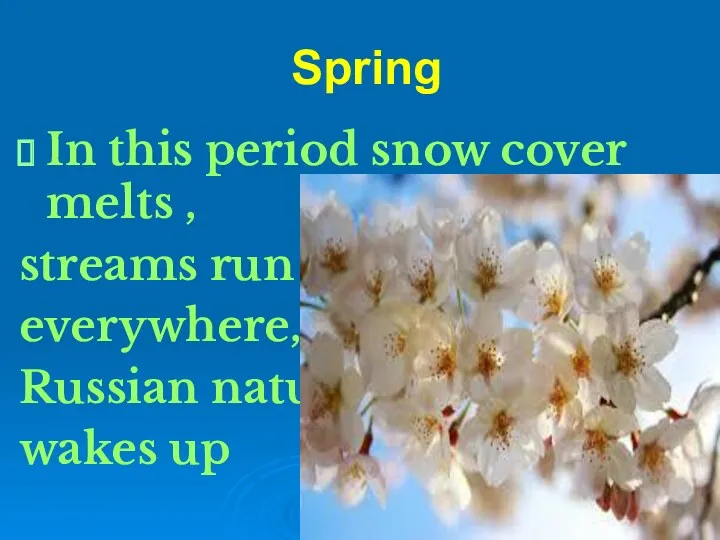 Spring In this period snow cover melts , streams run everywhere, Russian nature wakes up