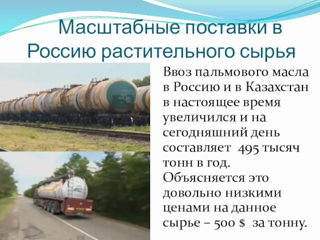 Масштабные поставки в Россию растительного сырья Ввоз пальмового масла в