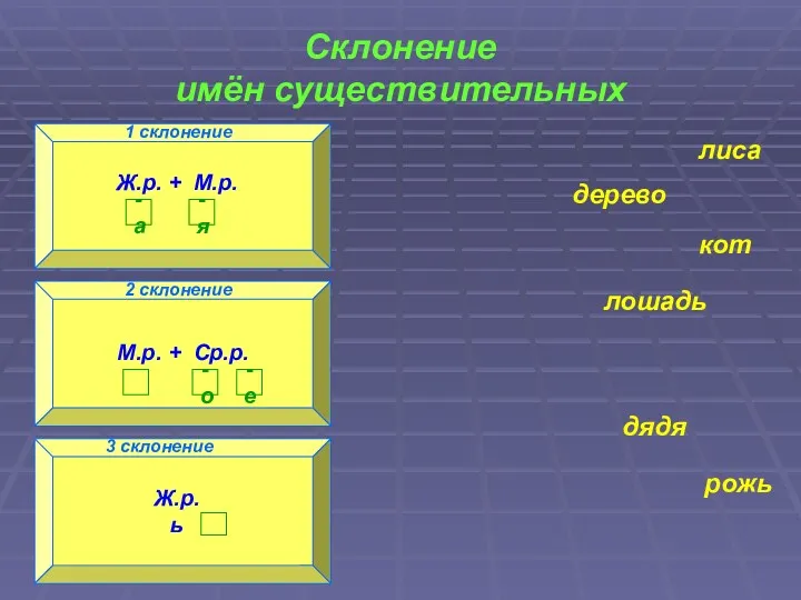 Склонение имён существительных 1 склонение 3 склонение 2 склонение лиса дерево кот лошадь дядя рожь