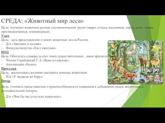 СРЕДА: «Животный мир леса» Цель: изучение животных разных систематических групп (звери, птицы, насекомые,