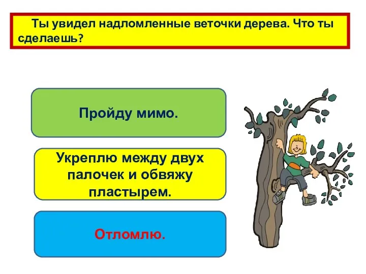 Ты увидел надломленные веточки дерева. Что ты сделаешь? Пройду мимо. Укреплю между двух