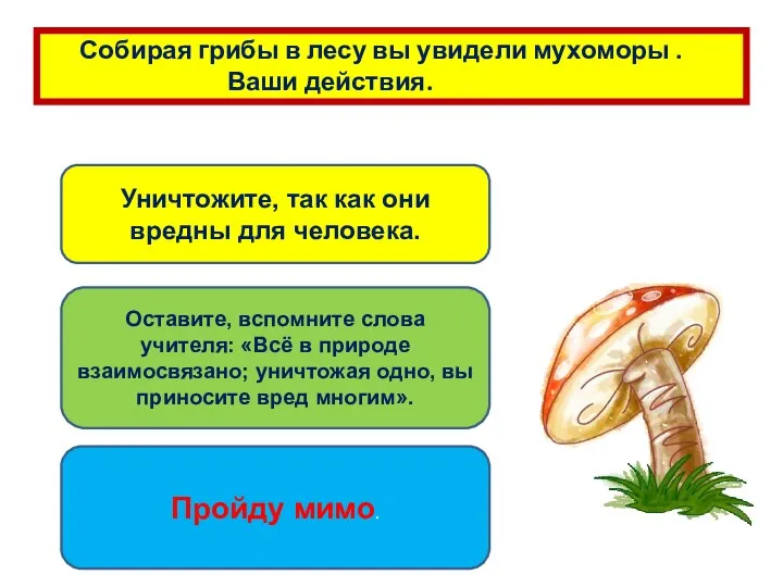 Собирая грибы в лесу вы увидели мухоморы . Ваши действия. Уничтожите, так как