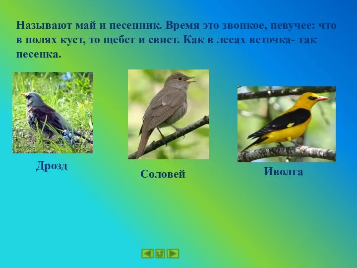 Называют май и песенник. Время это звонкое, певучее: что в