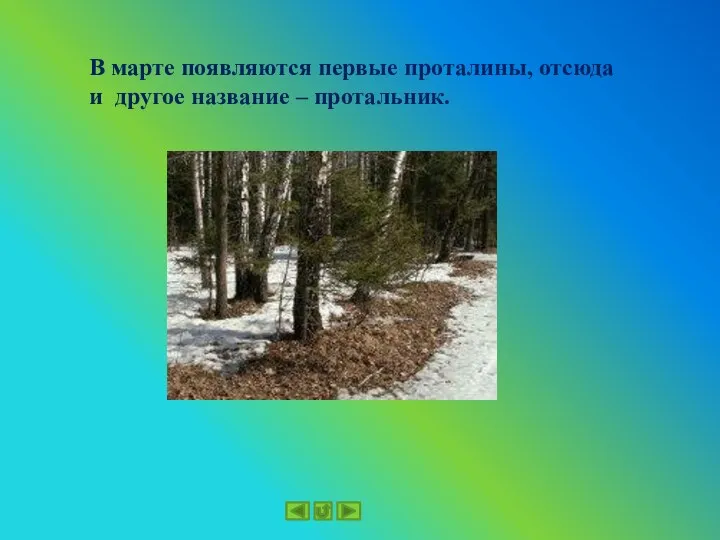 В марте появляются первые проталины, отсюда и другое название – протальник.