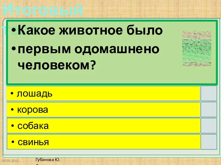 Какое животное было первым одомашнено человеком? лошадь корова собака свинья