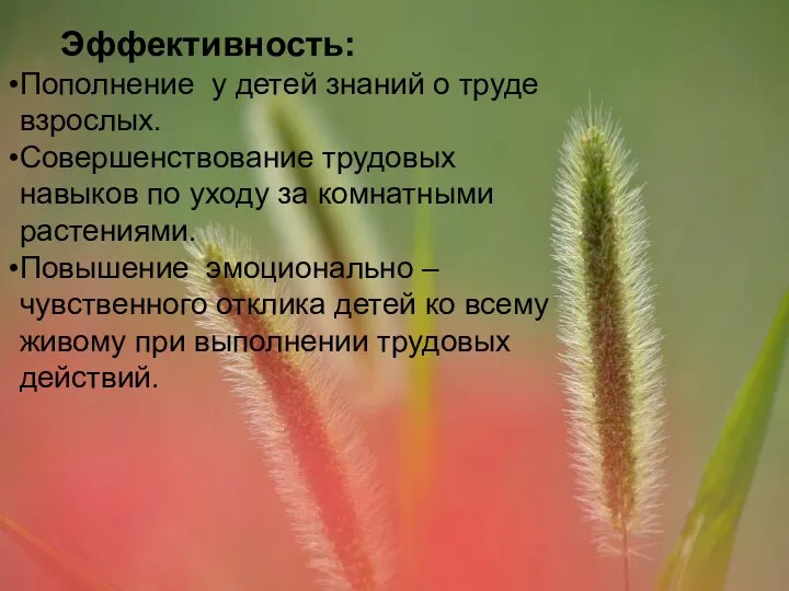 Эффективность: Пополнение у детей знаний о труде взрослых. Совершенствование трудовых