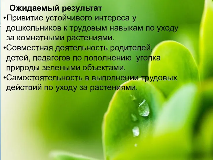 Ожидаемый результат Привитие устойчивого интереса у дошкольников к трудовым навыкам