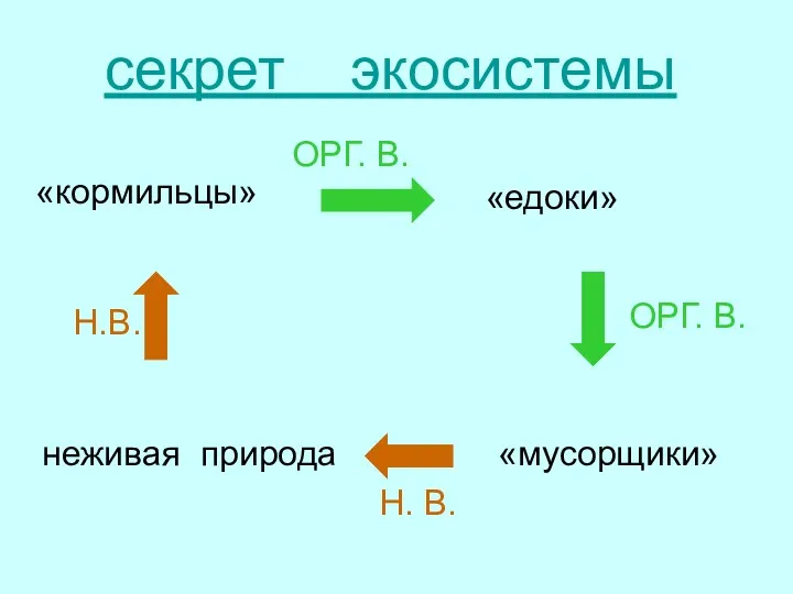 «кормильцы» «едоки» «мусорщики» неживая природа секрет экосистемы Н.В. ОРГ. В. ОРГ. В. Н. В.