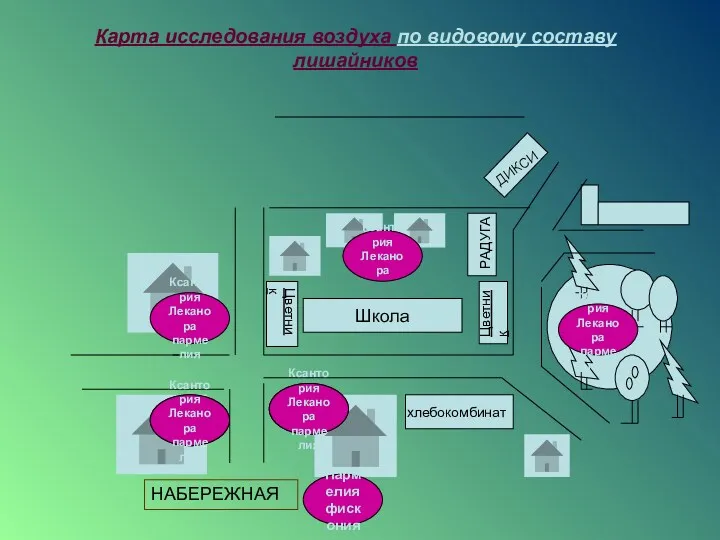 Карта исследования воздуха по видовому составу лишайников Школа Цветник Цветник