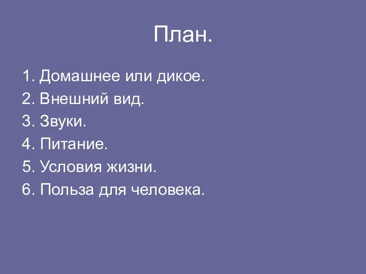 План. 1. Домашнее или дикое. 2. Внешний вид. 3. Звуки.