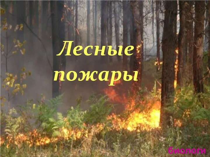 Лесные пожары биология