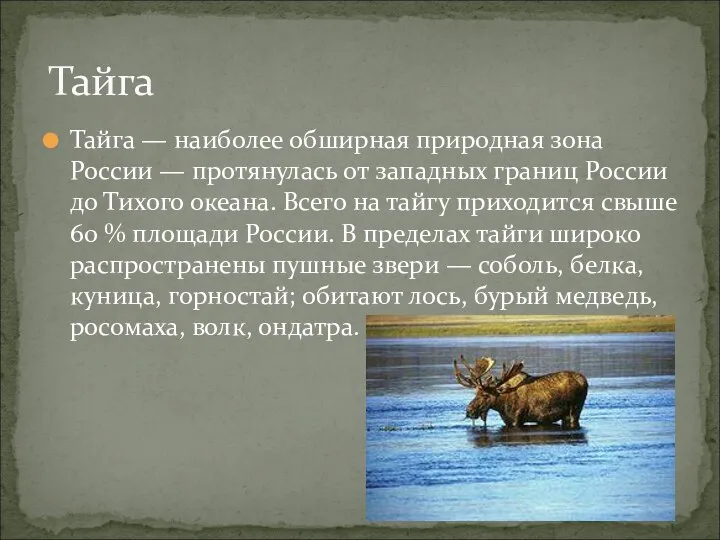 Тайга — наиболее обширная природная зона России — протянулась от