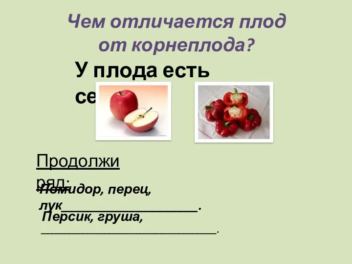 Чем отличается плод от корнеплода? У плода есть семечки. Продолжи