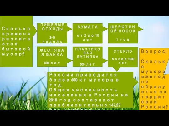 Сколько времени разлагается бытовой мусор? На каждого жителя России приходится