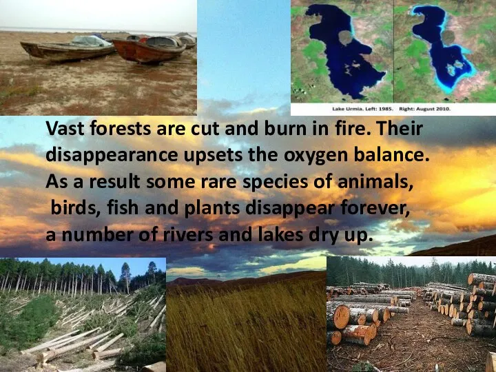 Vast forests are cut and burn in fire. Their disappearance upsets the oxygen