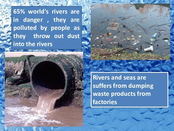 65% world's rivers are in danger , they are polluted by people as