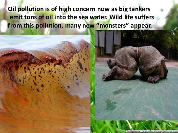 Oil pollution is of high concern now as big tankers