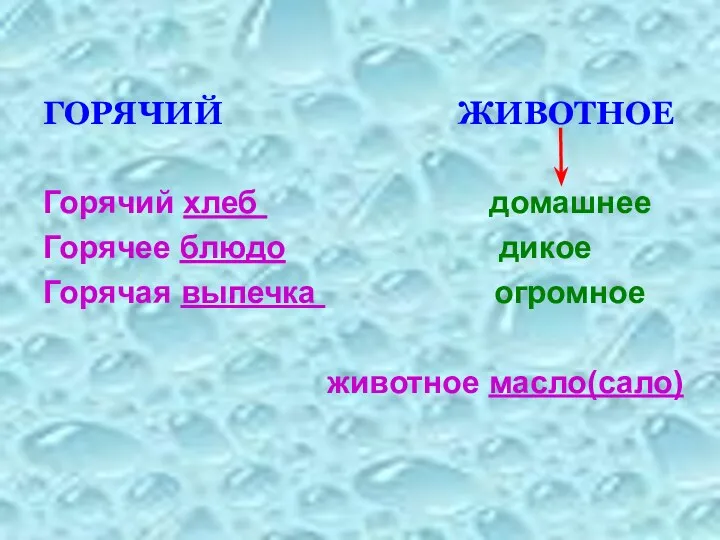 ГОРЯЧИЙ ЖИВОТНОЕ Горячий хлеб домашнее Горячее блюдо дикое Горячая выпечка огромное животное масло(сало)