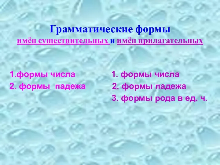 Грамматические формы имён существительных и имён прилагательных 1.формы числа 1.