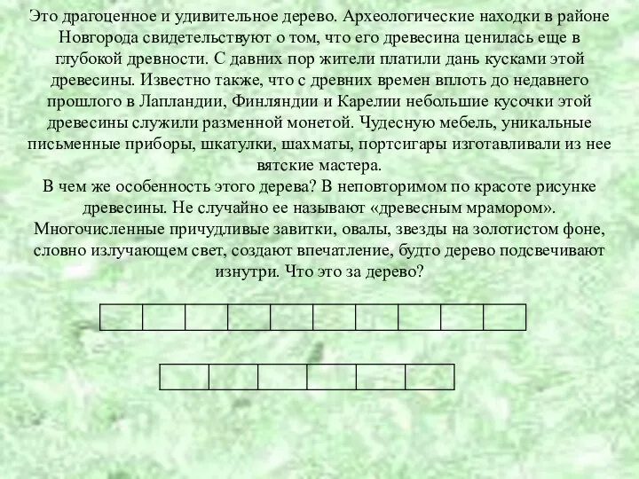 Это драгоценное и удивительное дерево. Археологические находки в районе Новгорода