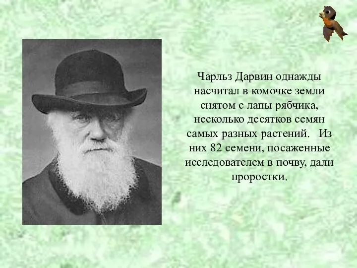 Чарльз Дарвин однажды насчитал в комочке земли снятом с лапы