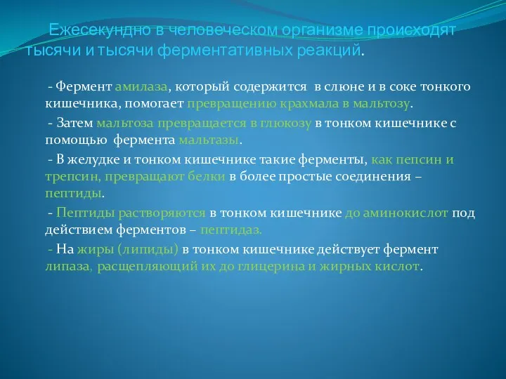 Ежесекундно в человеческом организме происходят тысячи и тысячи ферментативных реакций.