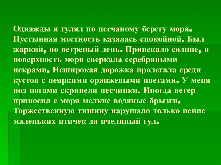 Однажды я гулял по песчаному берегу моря. Пустынная местность казалась