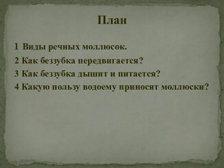 1 Виды речных моллюсок. 2 Как беззубка передвигается? 3 Как беззубка дышит и