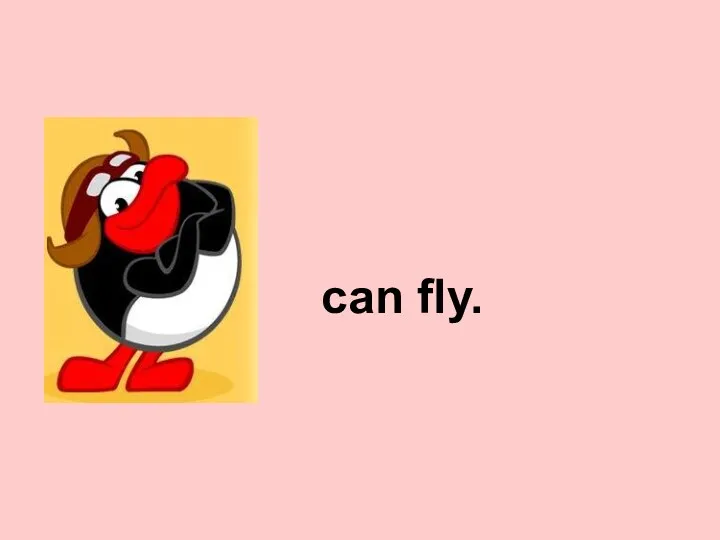can fly.
