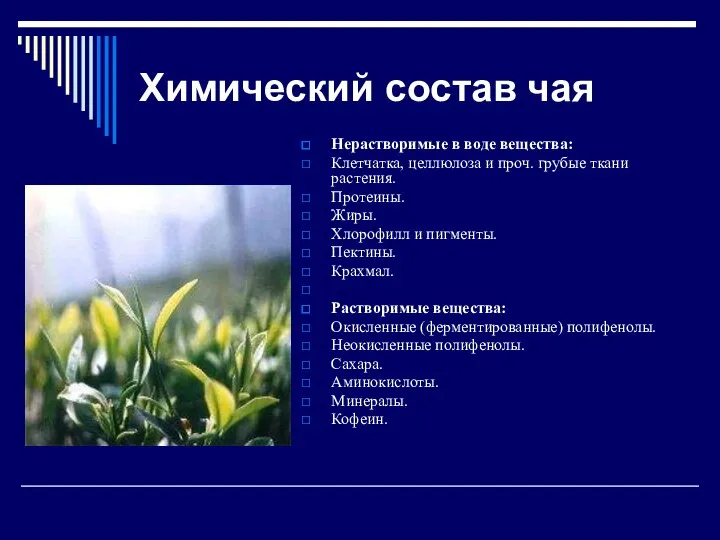 Химический состав чая Нерастворимые в воде вещества: Клетчатка, целлюлоза и