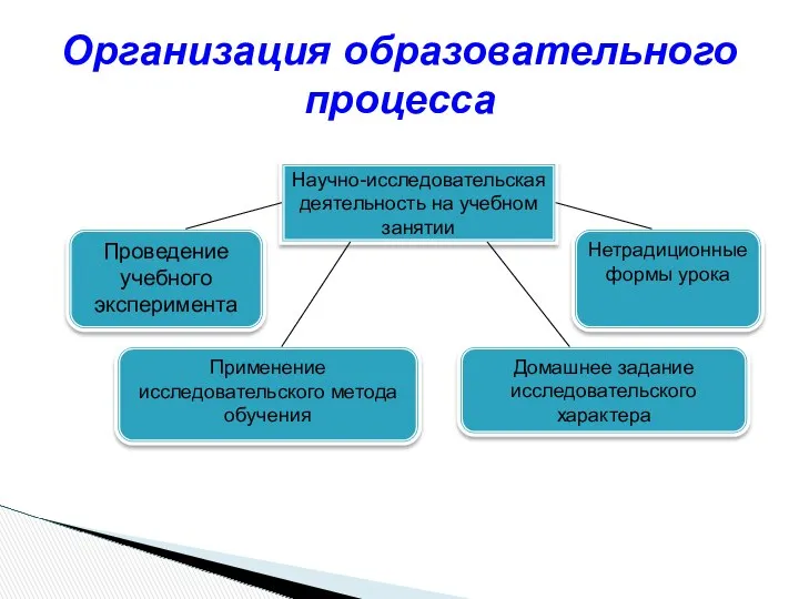 Организация образовательного процесса