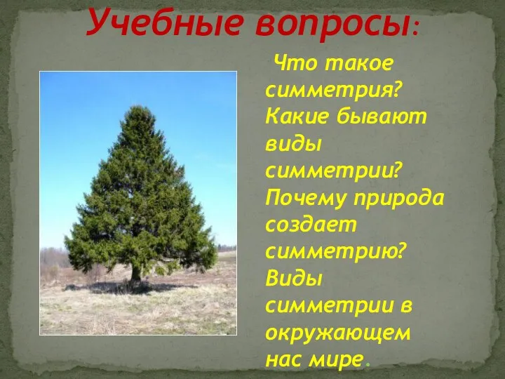 Учебные вопросы: Что такое симметрия? Какие бывают виды симметрии? Почему