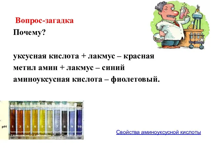 Вопрос-загадка Почему? уксусная кислота + лакмус – красная метил амин